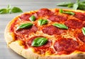 Pepperoni pizza garnished with basil leaves Royalty Free Stock Photo